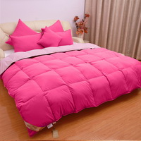Deep Pink And Light Pink Goose Down Comforter